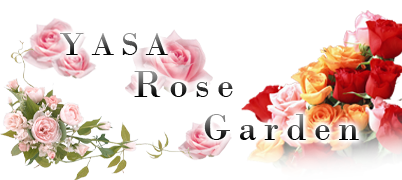 YASA　Rose　Garden｜豊田市　オープンガーデン　バラ　フラワーアレンジメント