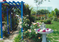 YASA Rose Garden